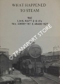 Book cover of What Happened to Steam by HANDS, Peter